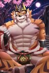  abs absurd_res anthro chuurow clothed clothing felid hi_res hot_spring live-a-hero male mammal mask muscular muscular_anthro muscular_male nipples one_eye_closed pantherine pecs ryekie_(live-a-hero) skimpy solo superhero tiger water wink 