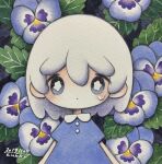  1girl blue_dress blue_eyes blue_flower bright_pupils dated dress flower highres leaf looking_at_viewer medium_hair original pansy plant short_sleeves signature solo tears traditional_media upper_body white_hair white_pupils zukky000 
