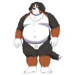  1:1 2021 anthro bernese_mountain_dog black_body black_fur brown_body brown_fur canid canine canis domestic_dog fur genitals hi_res humanoid_hands kemono male mammal molosser mountain_dog overweight overweight_anthro overweight_male penis simple_background small_penis solo swiss_mountain_dog white_background white_body white_fur yaki_atsuage 