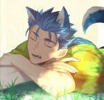  1boy alternate_costume animal_ears blue_hair closed_eyes crossed_arms cu_chulainn_(fate)_(all) dog_ears dog_tail fangs fate/stay_night fate_(series) grass kystktstura lancer long_hair male_focus open_mouth ponytail simple_background sleeping solo spiked_hair tail 