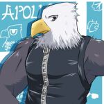  1:1 2017 accipitrid accipitriform animal_crossing anthro apollo_(animal_crossing) avian bald_eagle barazoku beak biceps bird character_name clothing digital_media_(artwork) eagle feathers front_view grey_body grey_eyes grey_feathers half-length_portrait kisagune looking_at_viewer low_res male multicolored_body multicolored_feathers muscular muscular_anthro muscular_male nintendo pecs portrait sea_eagle simple_background solo topwear vest video_games white_body white_feathers yellow_beak zipper 