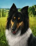  2021 4:5 black_body black_fur black_nose brown_body brown_fur canid canine canis day detailed_background deyvarah digital_media_(artwork) domestic_dog fur grass mammal open_mouth outside plant realistic sky smile teeth tongue white_body white_fur 