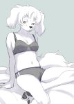  4_toes anthro bird_dog blush breasts canid canine canis claws clothing cocker_spaniel domestic_dog feet female fur grey_clothing grey_underwear hair hunting_dog kikurage mammal pawpads shirakawa_tamami simple_background solo spaniel toe_claws toes underwear white_body white_fur young 