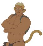  1boy :q animal_ears bandaid bandaid_on_nose bara bare_pecs belly bikini_briefs black_male_underwear blonde_hair blush bulge character_request cowboy_shot crossed_arms dark_skin dark_skinned_male flat_color gimseonghoe green_shirt jaguar_boy jaguar_ears jaguar_tail large_pectorals looking_at_viewer male_focus male_underwear muscular muscular_male navel open_pants pants plump shirt shirt_around_neck short_hair sideburns solo stomach tail tokyo_houkago_summoners tongue tongue_out underwear undressing 