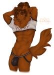  2020 abs anthro brown_body brown_fur brown_hair bulge canid canine canis chest_tuft clothed clothing crop_top domestic_dog facial_piercing fluffy fluffy_tail freckles fur hair hi_res jockstrap looking_at_viewer lute_(maplepudding) male mammal maplepudding_(artist) nipples nose_piercing piercing presenting shirt skimpy smile solo standing topwear tuft underwear yellow_eyes 