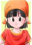  bandana bangs black_eyes black_hair border dragon_ball dragon_ball_gt eyebrows_visible_through_hair green_background highres looking_at_viewer medium_hair orange_bandana outside_border pan_(dragon_ball) pipi2020pipi red_shirt shirt short_sleeves simple_background smile t-shirt white_border 