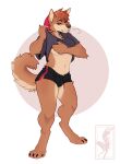  absurd_res anthro breasts brown_body brown_fur canid canine canis clothed clothing domestic_dog female fur hi_res mammal purple_eyes simple_background solo twistedhound 
