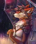  2021 absurd_res anthro breasts canid canine canis featureless_breasts female fhyra hi_res jackal mammal raining solo tatujapa umbrella 