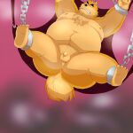  1:1 2014 anthro arufina_w balls belly big_belly butt canid canine chain chained edit flaccid genitals hi_res humanoid_hands iron_cuffs kemono lying male mammal moobs navel nipples overweight overweight_anthro overweight_male penis sex_swing solo uncensored 