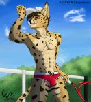  abs anthro brown_hair bulge clothed clothing felid feline hair hat headgear headwear hi_res looking_at_viewer lunasimia male mammal muscular muscular_anthro muscular_male outside plant red_eyes serval smile sohan_(lunasimia) solo speedo spots spots_(marking) spotted_body swimwear tennis tennis_net tennis_racket tree underwear underwear_only 