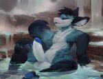  absurd_res anthro balls black_body black_ears black_fur black_hair blue_glans blue_pawpads countershade_torso countershading darkgem dragon erection eyes_mostly_closed fur furred_dragon genitals glans grey_body grey_countershading grey_fur hair hand_on_leg hi_res hot_spring lumikin male narrowed_eyes nude open_mouth partially_submerged pawpads penis solo water 