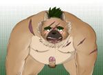  2021 anthro balls blush brown_body brown_fur canid canine canis domestic_dog erection fur genitals kemono male mammal moobs nipples overweight overweight_anthro overweight_male penis scar solo tentetutetuya tokyo_afterschool_summoners tongue tongue_out video_games yasuyori 