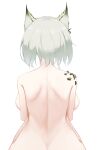  1girl animal_ears arknights back backboob breasts commentary_request from_behind highres kal&#039;tsit_(arknights) large_breasts lynx_ears nude oripathy_lesion_(arknights) ruyouguizhu short_hair silver_hair sitting solo upper_body 
