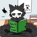  1:1 ambiguous_gender anthro black_body black_fur book canid canine canis changed_(video_game) footprint fur hi_res lumi192 mammal mask pawprint puro_(changed) reading reading_book sitting solo wolf 