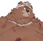  accessory anthro belly blush brown_body brown_fur first_person_view fur goro_(live-a-hero) headband live-a-hero looking_down male mammal moobs navel neck_tuft nipples overweight quanjiang tuft ursid 