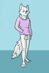  absurd_res animal_genitalia anthro arctic_fox balls canid canine clothing fox fur genitals hi_res kifyun male mammal penis penis_tip sheath simple_background simple_eyes solo sweater topwear white_body white_fur 