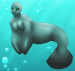  anthro black_sclera breasts bubble featureless_breasts female flippers grey_body lips looking_at_viewer mammal manatee marine non-mammal_breasts sirenian solo tigertwins underwater water 
