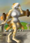  acacia acacia_dune aircraft airplane anthro big_breasts breasts detailed_background female hi_res huge_breasts jet living_aircraft living_machine living_vehicle looking_at_viewer machine mechanophilia nude pose solo tan_body vehicle wings 