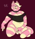  2020 anthro biped black_collar collar collar_tag felid feline fur genitals hi_res kneeling male mammal navel penis pink_eyes pink_nose red_background simple_background softsorbet solo sorbet_sugar striped_body striped_fur stripes trans_(lore) trans_man_(lore) 