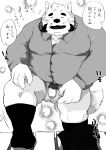  2021 anthro balls blush canid canine canis clothing domestic_dog eyes_closed flaccid genitals hi_res japanese_text kemono male mammal monochrome overweight overweight_male penis pubes shintatokoro shirt solo text topwear 