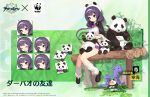  animal azur_lane bamboo black_footwear bow bowtie commentary_request eastern_radiance_(emblem) expressions feeding hair_ornament hairband hat highres holding holding_animal kinjo_kuromomo low_twintails ning_hai_(azur_lane) official_alternate_costume official_art panda promotional_art purple_eyes purple_hair sitting twintails white_headwear white_legwear 