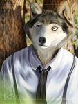  absurd_res anthro beastars benjamin_ratterman canid canine canis detailed_background hi_res legoshi_(beastars) male mammal portrait realistic slim solo wolf 