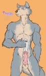  2021 anthro balls beastars canid canine canis claws erection front_view fur genitals grey_body grey_fur knot legoshi_(beastars) male mammal muscular muscular_anthro muscular_male nude penis portrait solo standing thorso_the_vile three-quarter_portrait wolf 