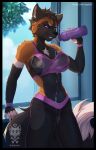  &lt;3 anthro athletic athletic_anthro athletic_female black_hair bra breasts camel_toe canid canine clothing exposed_breasts female fleet-foot fluffy fox grin hair hi_res inside looking_at_viewer mammal nails nipples organs smile solo sports_bra stomach translucent translucent_clothing underwear water water_bottle wesley_(suave_senpai) wet wet_clothing wide_hips window workout_clothing workout_equipment workout_outfit yoga_pants 