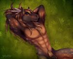  abs absurd_res accessory animal_genitalia anthro beichtstuhl brown_body equid equine feather_in_hair feathers genitals grass hair hair_accessory hi_res horse looking_at_viewer male mammal muscular muscular_anthro muscular_male noz_orlok nude plant relaxing sheath solo yellow_eyes 