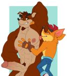  abs activision anthro armpit_fetish armpit_hair armpit_lick armpit_play armpit_sniffing balls bandicoot blue_bottomwear blue_clothing blue_pants body_hair bottomwear brown_body brown_fur brown_gloves bulge clothed clothing crash_bandicoot crash_bandicoot_(series) crunch_bandicoot duo facial_hair fingerless_gloves footwear fur genitals gloves goatee green_eyes hair hand_behind_head handwear hi_res humanoid_genitalia humanoid_penis licking male male/male mammal marsupial muscular muscular_anthro muscular_male narrowed_eyes nipples nude orange_body orange_fur pants pecs penis pubes red_clothing red_footwear red_hair red_shoes shadowpelt shoes smile smirk sniffing tenting tongue tongue_out topless vein veiny_penis video_games 