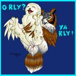  meme o_rly owl tagme ya_rly 