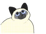  animated black_ears black_nose bubble domestic_cat felid feline felis feral keke_(artist) low_res mammal multicolored_body open_mouth simple_background solo teeth white_background 