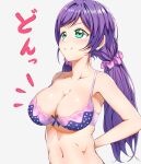  1girl arms_behind_back blush bra breasts cleavage closed_mouth collarbone eyebrows_visible_through_hair green_eyes large_breasts love_live! navel polka_dot polka_dot_bra purple_bra purple_hair r2pi shiny shiny_hair shiny_skin simple_background smile solo toujou_nozomi twintails underwear upper_body white_background 