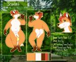  2020 anthro biped breasts butt canid canine dipstick_tail english_text featureless_breasts featureless_crotch female fox green_eyes mammal model_sheet multicolored_tail navel nude scarlett_(softsorbet) softsorbet solo text 