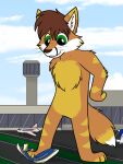  aircraft airplane airport arm_tuft brown_body brown_fur brown_hair canid canine cheek_tuft chest_tuft elbow_tufts facial_tuft fox fur green_eyes hair hi_res inner_ear_fluff macro male mammal paws shoulder_tuft solo stomping striped_body striped_fur stripes tuft 