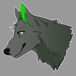  ambiguous_gender anthro canid canine canis headshot_portrait male mammal portrait solo spirit_shadow_(character) tagme unknown_artist wolf 
