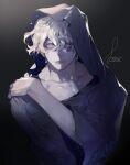  1boy closed_mouth constellation grey_background grey_eyes grey_hair hair_between_eyes highres hood hood_up looking_at_viewer male_focus medium_hair original pigeon666 self_hug signature solo upper_body 