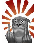  absurd_res ambiguous_gender anthro avian bird bust_portrait emanata gesture hi_res humanoid_hands humor middle_finger owl plantpotperson portrait reaction_image simple_background solo what white_background 