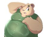  2021 anthro bodily_fluids clothing green_eyes hi_res inigo_(kusosensei) kemono kusosensei male mammal overweight overweight_anthro overweight_male shirt simple_background solo sweat topwear ursid wet white_background 