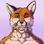  2021 anthro blush canid canine fox fur hi_res mammal marjani micro one_eye_closed orange_body orange_fur simple_background teeth unamused white_body white_fur 