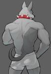  2021 anthro back_muscles butt canid canine canis clothed clothing collar domestic_dog fur grey_background grey_body grey_fur hi_res jrjresq male mammal muscular muscular_anthro muscular_male rear_view red_collar simple_background solo spiked_collar spikes triceps underwear 