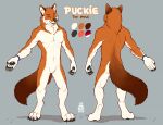  4_toes 5_fingers anthro black_nose byowt canid canine dhole ears_up featureless_crotch feet fingers fur male mammal nude orange_body orange_fur paws piercing red_eyes smile solo spade_tail standing toes white_body white_fur 