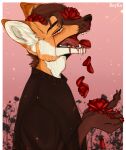  5_fingers anthro blood blood_from_eyes blood_from_mouth blood_from_nose blood_on_hand bodily_fluids brown_hair canid canine clothed clothing crying fingers floral_background flower flowers_in_hair fox fur hair hi_res holding_object inner_ear_fluff looking_at_viewer male mammal open_mouth orange_body orange_fur paws petals pink_background pivoted_ears plant reykoli sad signature simple_background solo sparks tears teeth tongue tongue_out tuft white_body white_fur yellow_eyes 