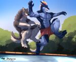  anthro blue_body canid canine canis cannonball dragon duo favonius hi_res jumping mammal pool_(disambiguation) raining swimming teryx teryx_commodore wolf zephyxus 