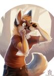  anthro canid canine clothing flemaly hi_res male mammal solo 