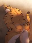  2021 anthro arufina_w asian_clothing bodily_fluids bulge butt clothing east_asian_clothing felid fundoshi hi_res humanoid_hands japanese_clothing kemono male mammal overweight overweight_anthro overweight_male pantherine solo sweat tiger underwear 