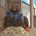  2021 anthro canid canine detailed_background donguri eyes_closed hi_res humanoid_hands kemono male mammal outside overweight overweight_anthro overweight_male raccoon_dog shogi sitting solo tanuki 
