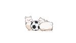  :3 animal animal_focus arms_up artist_name ball black_eyes blush_stickers dog fluffy fuwa_fuwa_dog no_humans open_mouth original shadow simple_background soccer_ball solid_circle_eyes tongue tongue_out twitter_username white_background x_anus 