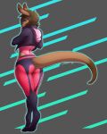  2018 abstract_background absurd_res anthro big_butt biped brown_hair butt butt_pose clothing curvy_figure digital_media_(artwork) digitigrade fishnet fur garter_belt_leggings girly hair hi_res hoodie kangaroo leggings legwear leotard looking_at_viewer looking_back looking_back_at_viewer macropod male mammal marsupial pink_eyes pose rear_view simple_background small_waist solo standing thick_tail thick_thighs topwear tyroo tyroo_(character) voluptuous wide_hips 