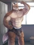  2021 abs anthro barazoku brown_body brown_fur bulge canid canine canis cheek_tuft clothed clothing detailed_background domestic_dog erection erection_pushing_underwear erection_under_clothing facial_tuft flexing fur hi_res humanoid_hands inner_ear_fluff inside kemono kumao male mammal muscular muscular_anthro muscular_male solo tuft underwear underwear_only 